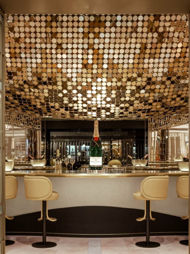 MOËT: Muito Além dos Vinhos e Espumantes